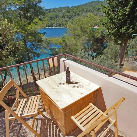Danica - Large Terrace With Sea View Vela Luka